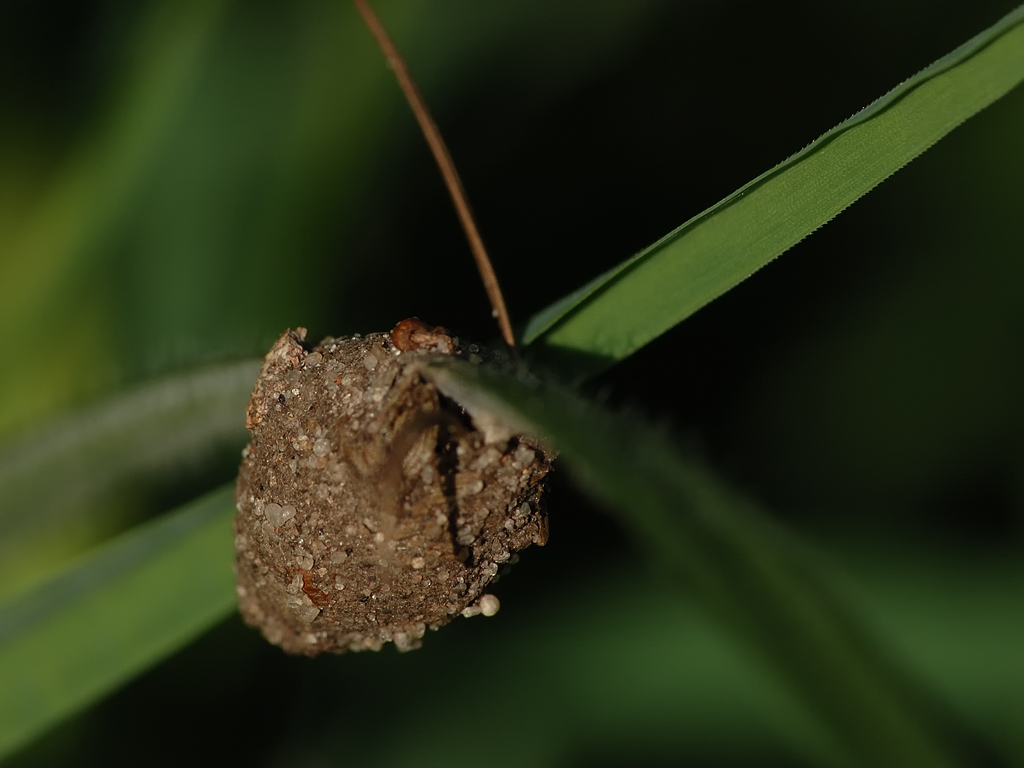 DSC_6810_web.jpg