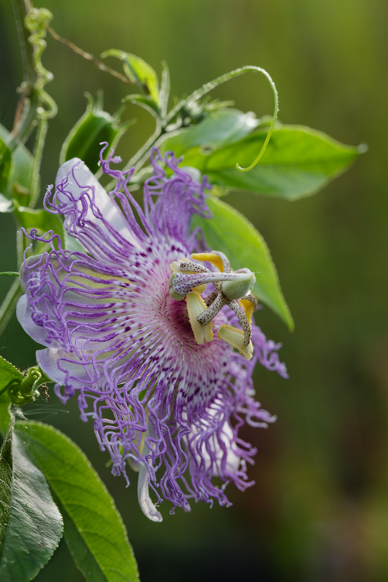 20130815_0086-1792-Kopie.jpg