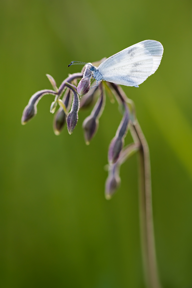 20130712_4578-tinti.jpg