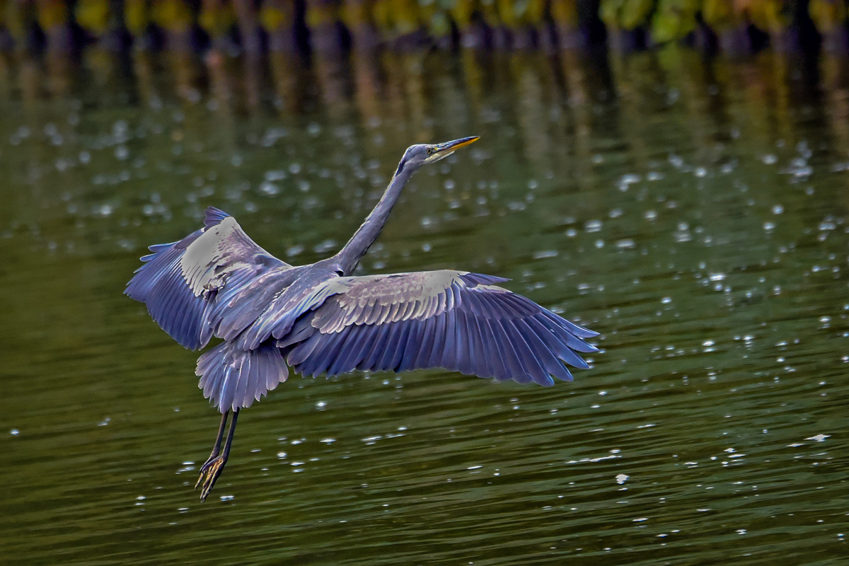 2016 10 09_Mecklemburger Seeenplatte_7005_bearbeitet-2.jpg