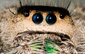 Benutzeravatar
