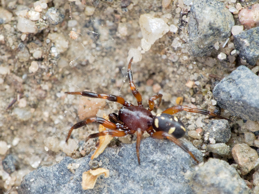DSCN5850.jpg