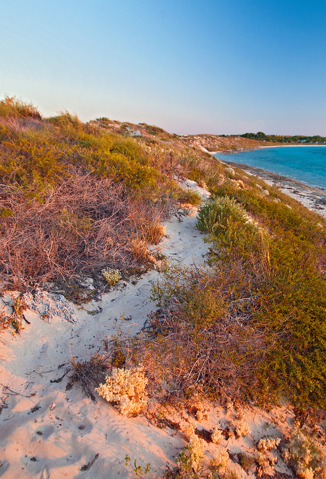 DSC_2104-1.jpg