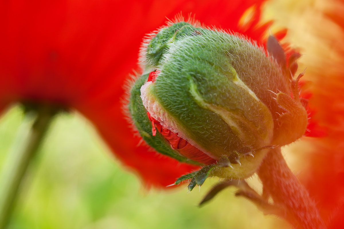 20120524_0078.jpg