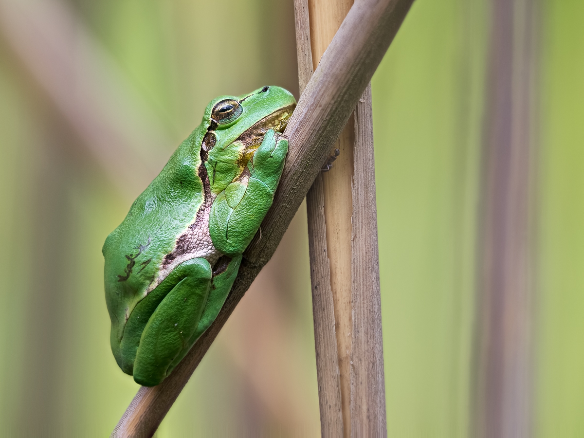 2012 07 01_6698-Bearbeitet.jpg