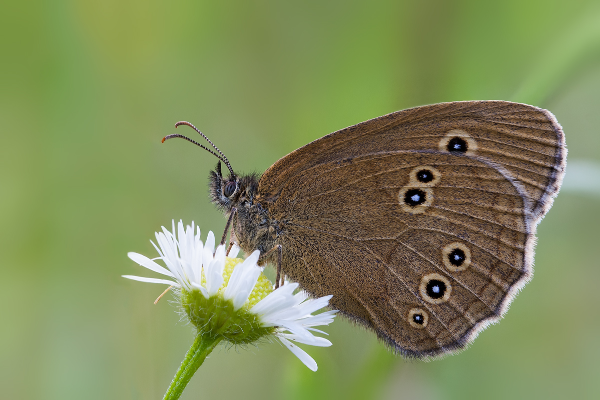 stack_0033-Kopie.jpg