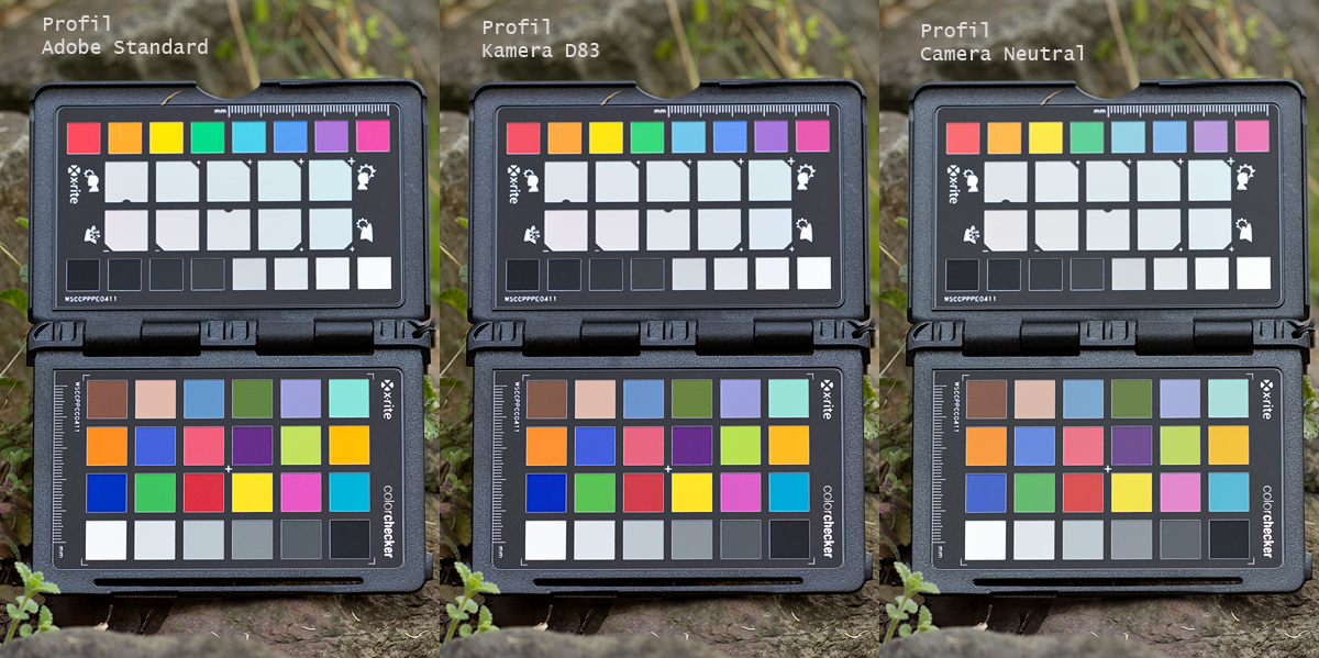 ColorChecker.jpg