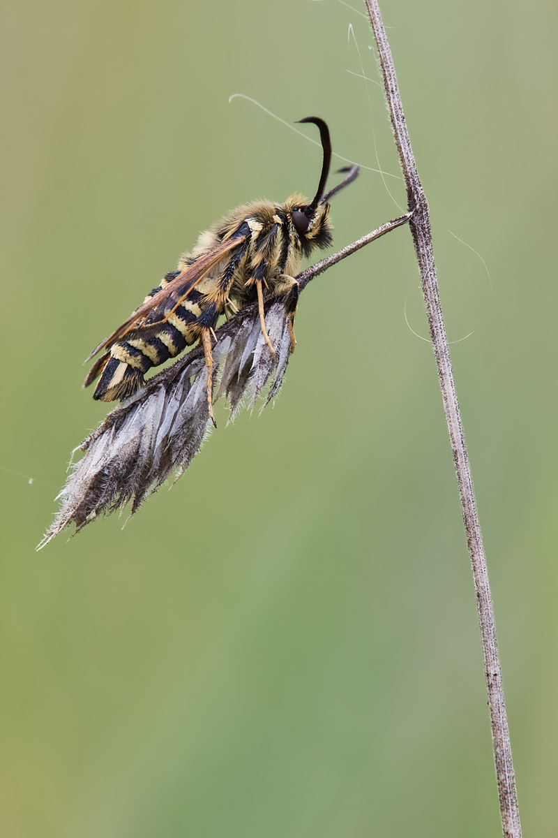 glasfl-IMG_5857.jpg