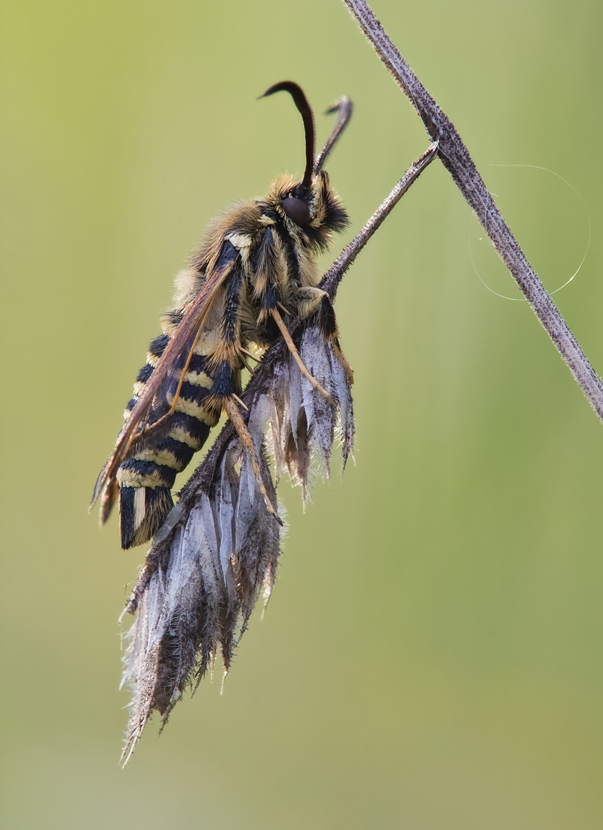 glasfl-IMG_5868.jpg