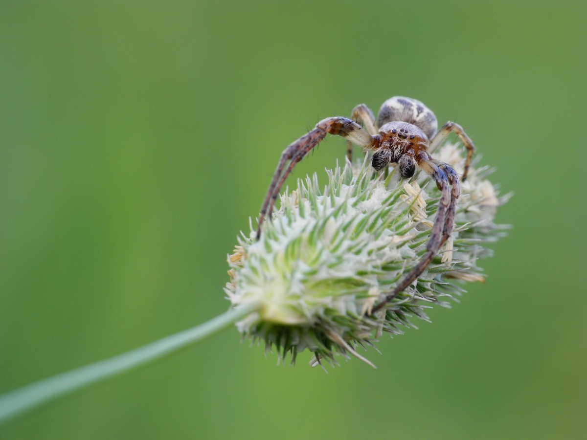 DSCN8822s.JPG