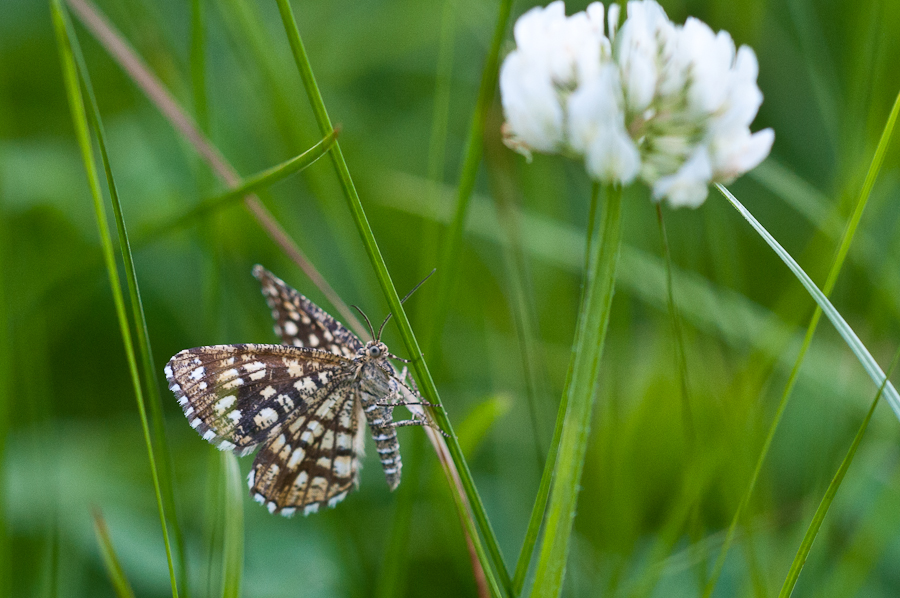 Stötten MEP-2714.jpg