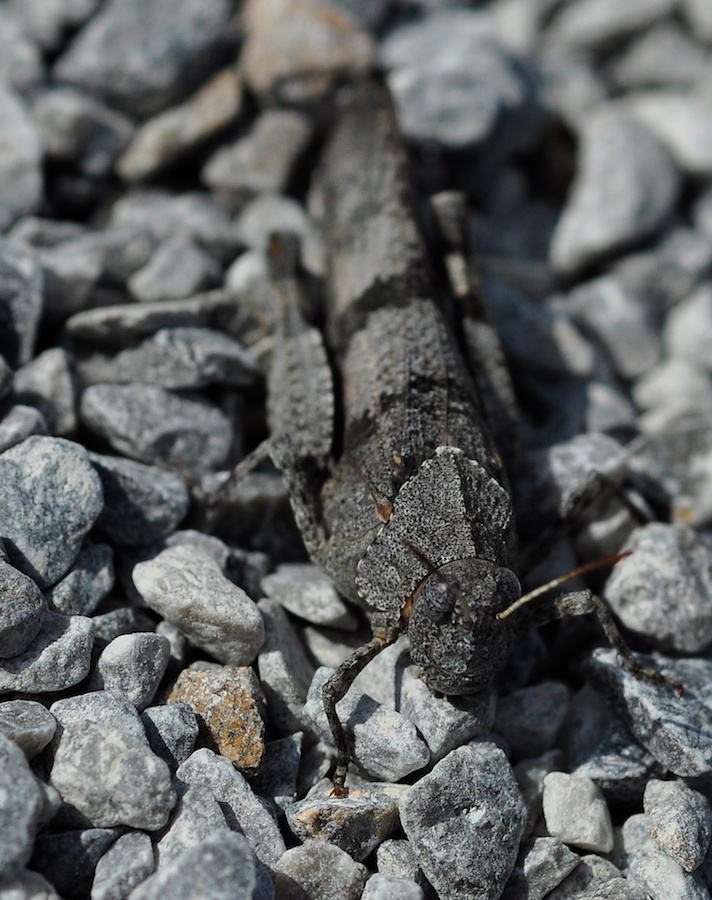 _DSC7202 - Arbeitskopie 2.jpg