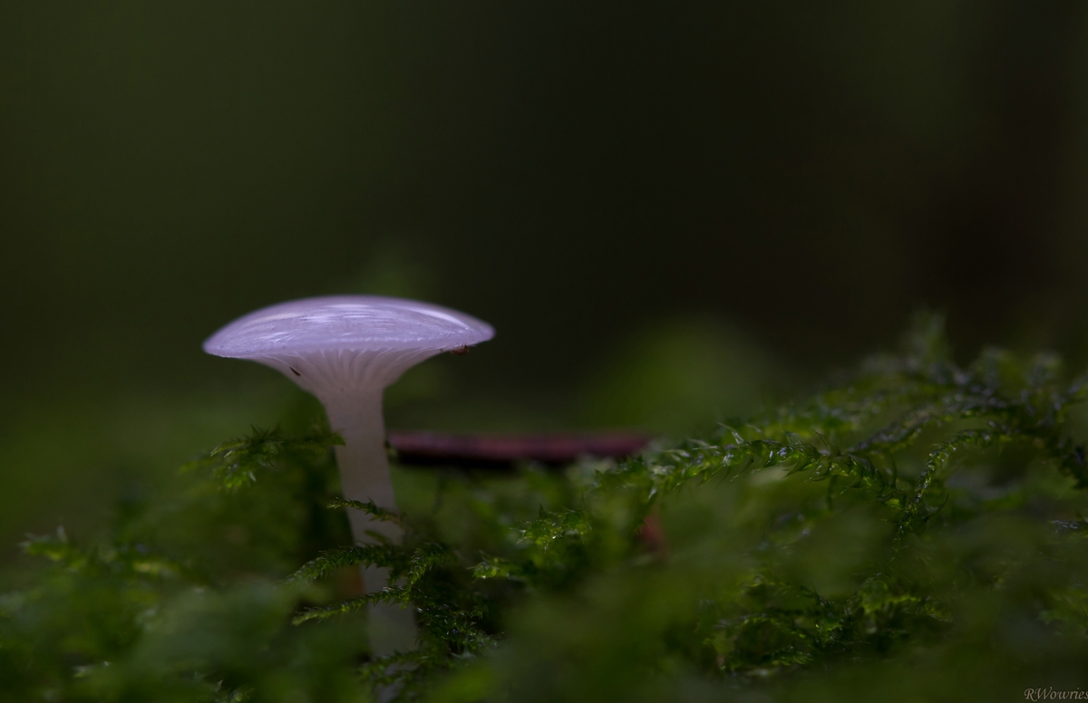 06.10.2012-28.TOP .jpg