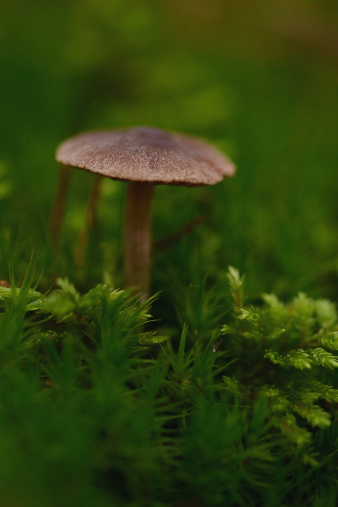 DSC_5466.JPG