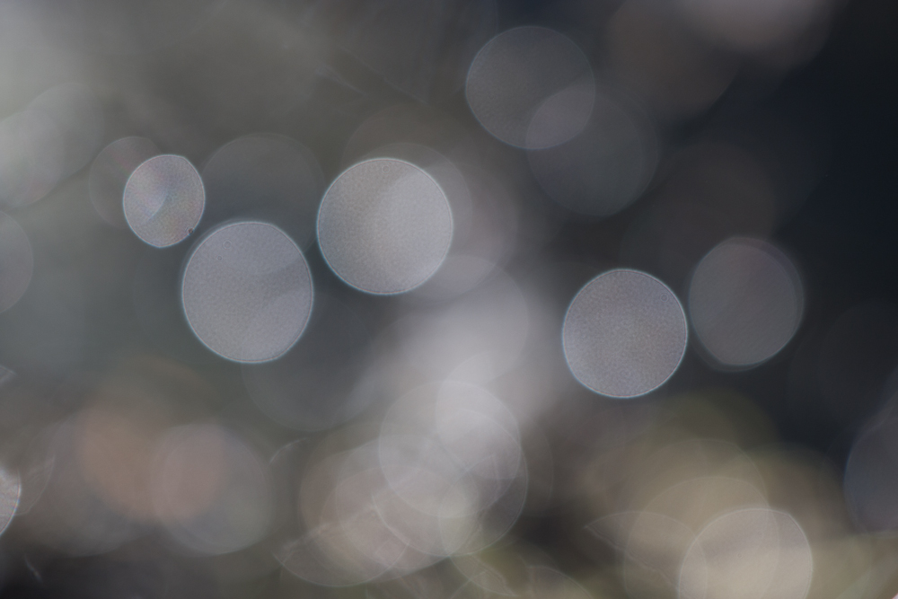 2012.10.13 10-50-10 4344.jpg