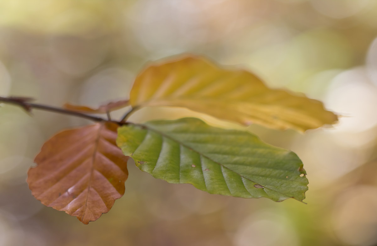 20121021_250-1web.jpg