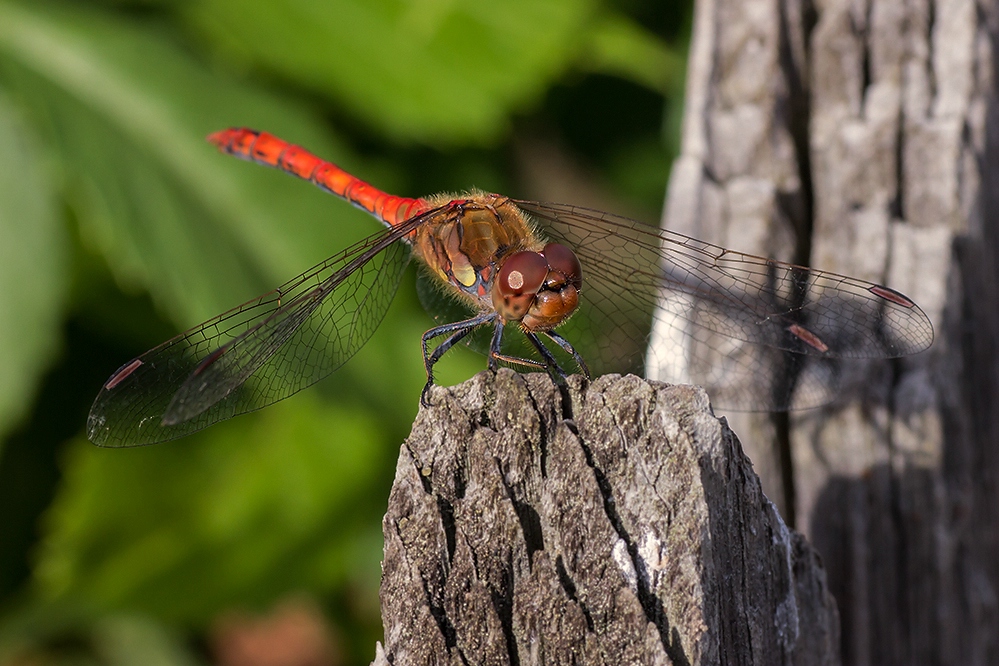 comp_3.Q.12   282.jpg