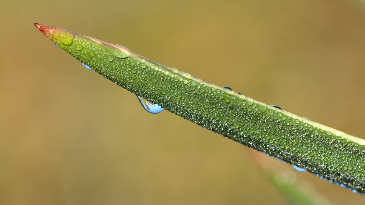 _DSC2172 - Arbeitskopie 2.jpg