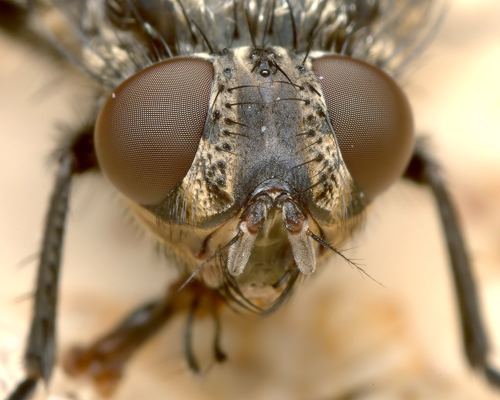 RGB_DSC_2764_7.jpg