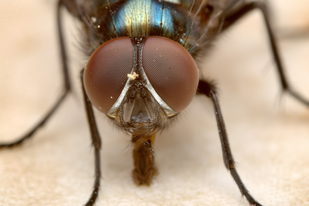 RGB_DSC_2707_5.jpg