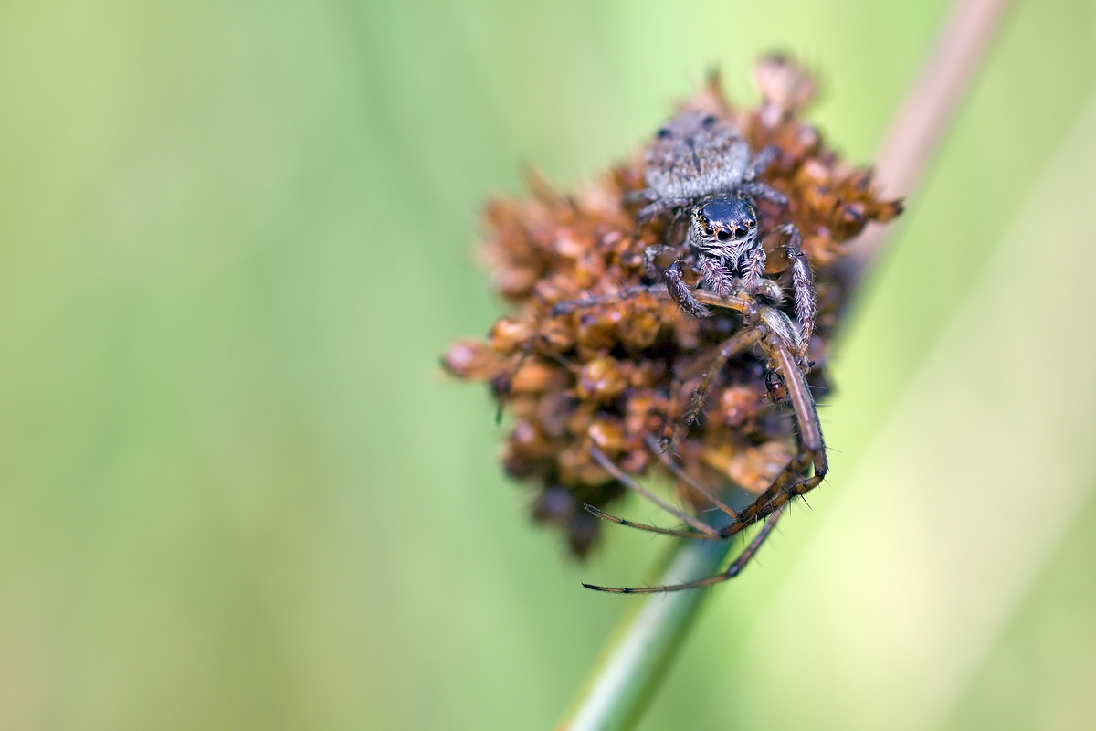 23.07.2012.moor 086.JPG