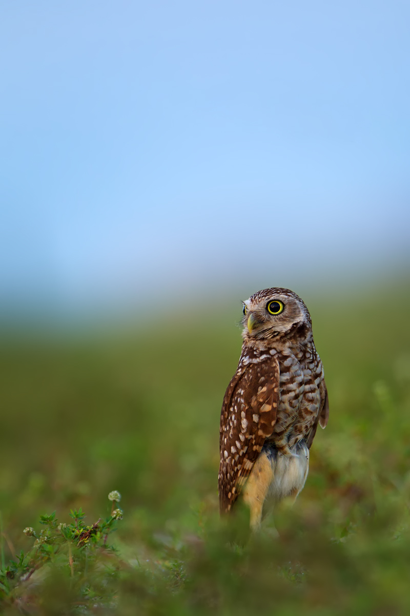 F25G9882-Bearbeitet.jpg