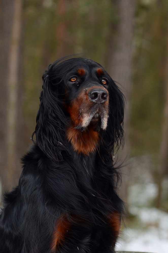 DSC_7478.JPG