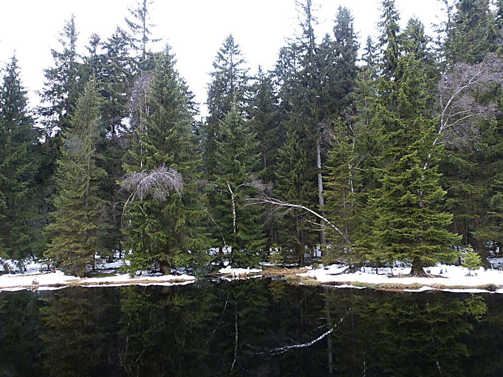 P1010146_filtered.jpg