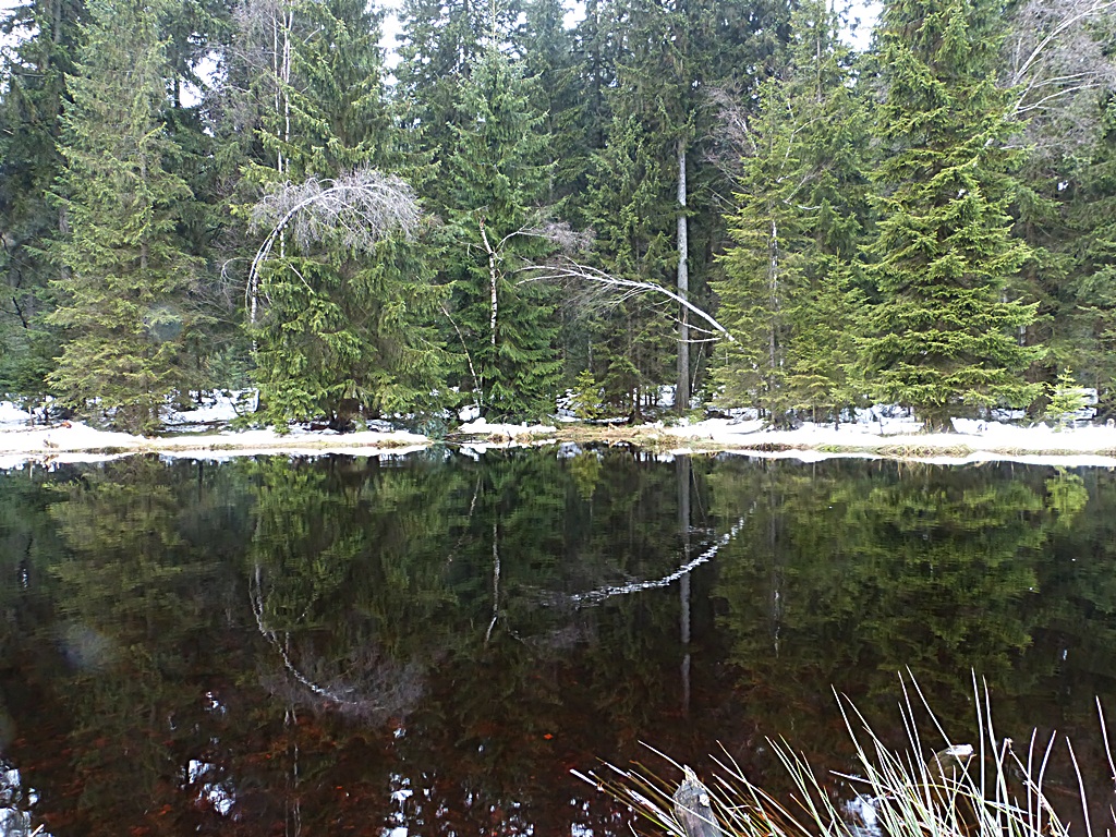 P1010145_filtered.jpg