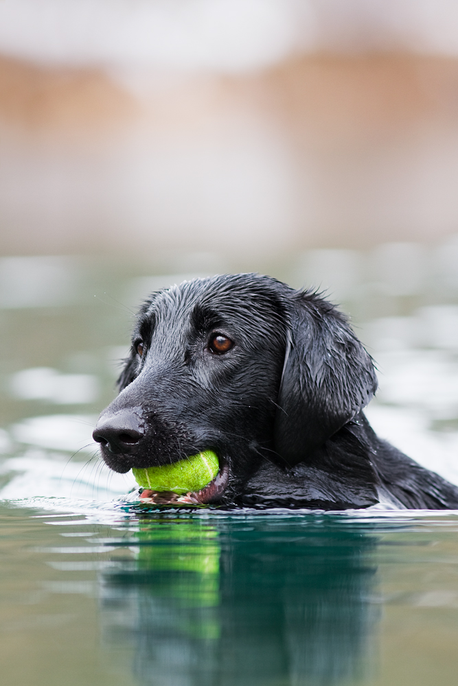 IMG_3581-layla_wintersplash.jpg
