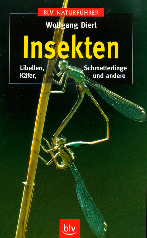insekten.jpg