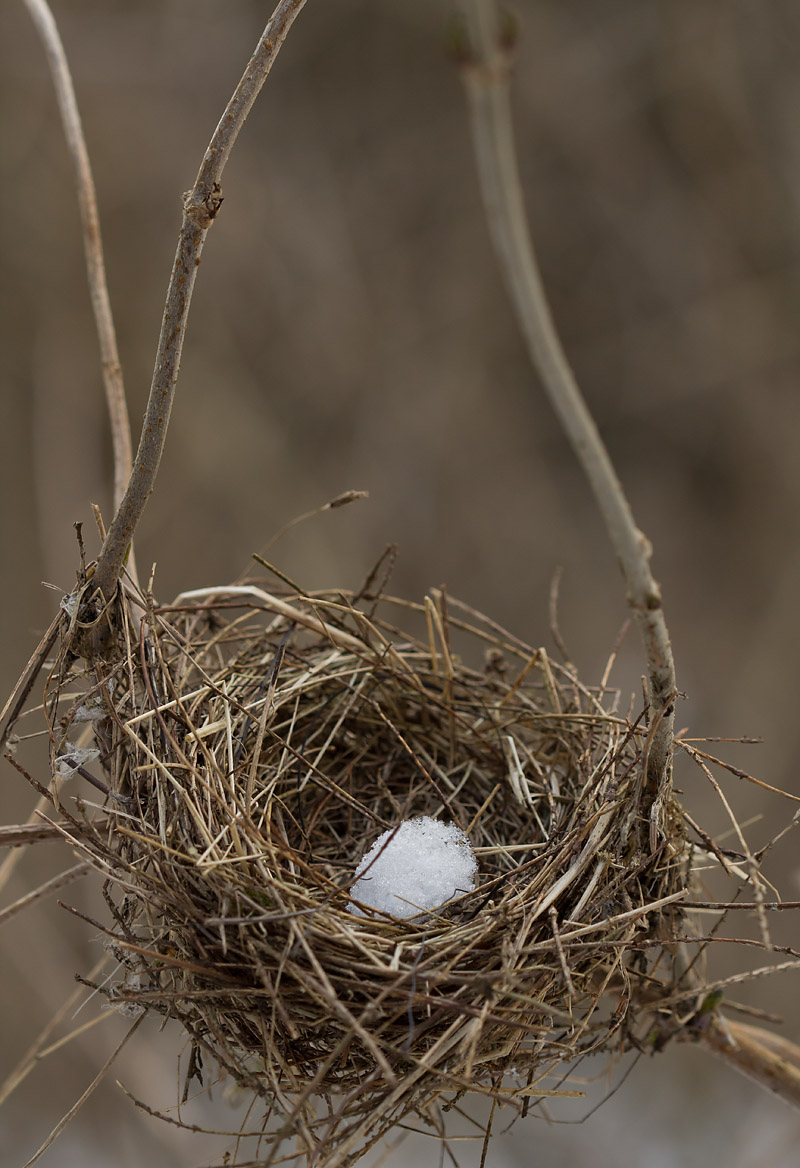 IMG_8264-2web.jpg