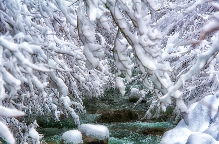Schnee_01.jpg
