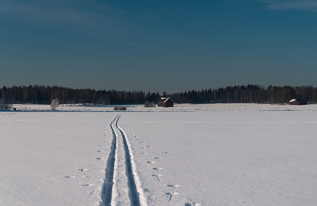 DSC_5546-Bearbeitet.jpg