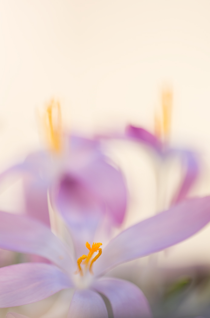 _J6A6362-2.jpg