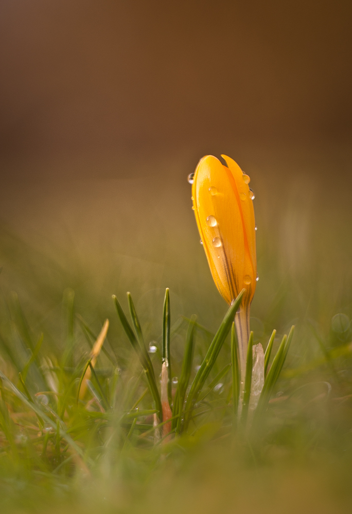 RD7_3374-4.jpg