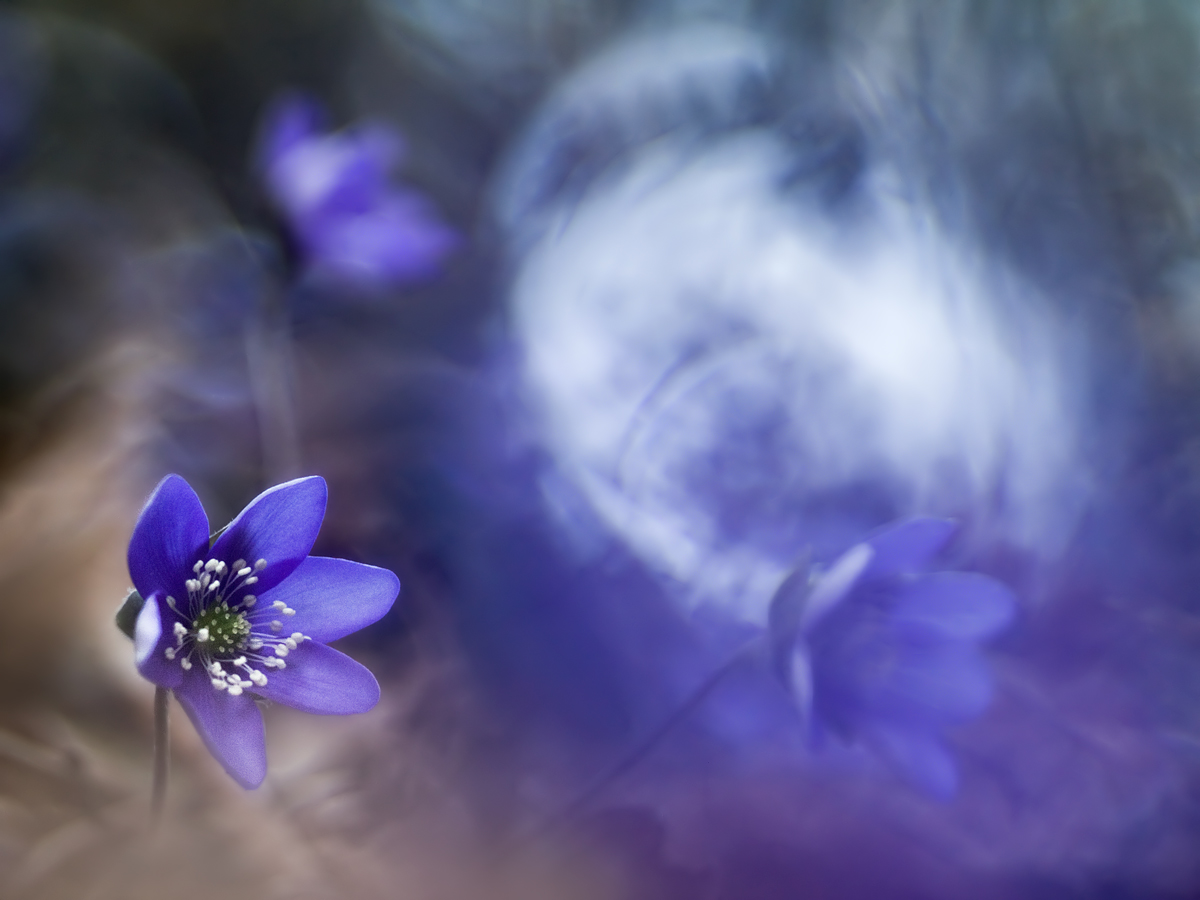 20130401_dark_LBL.jpg