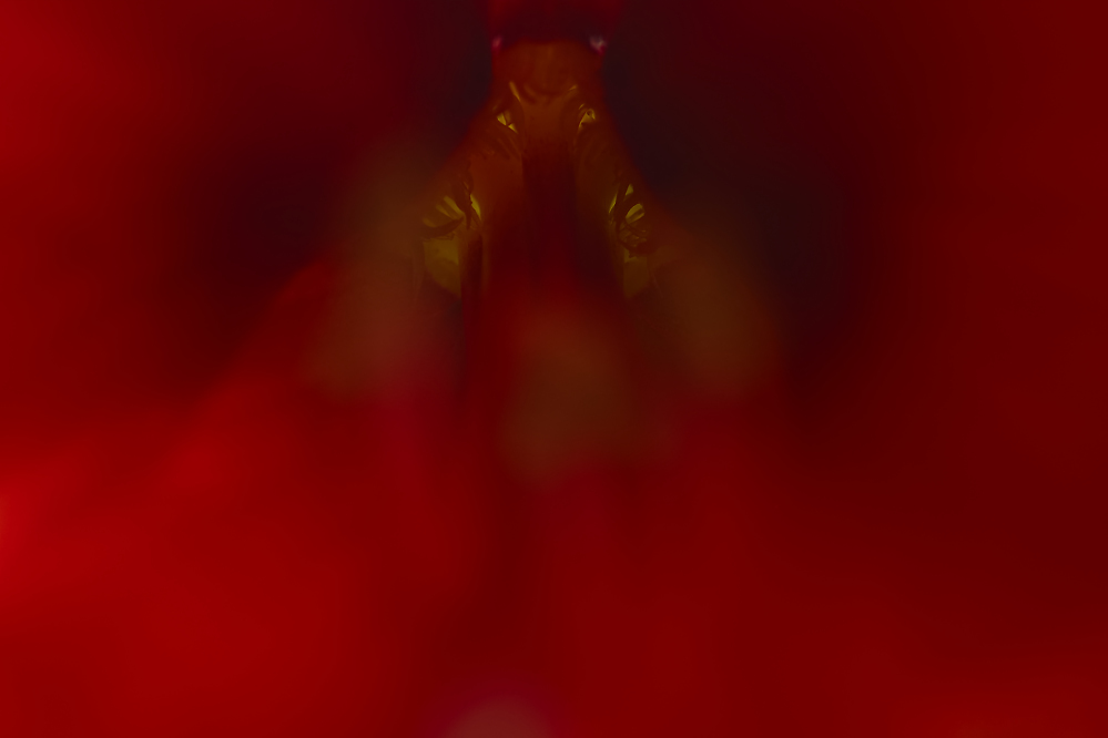 D90_11904mf.jpg