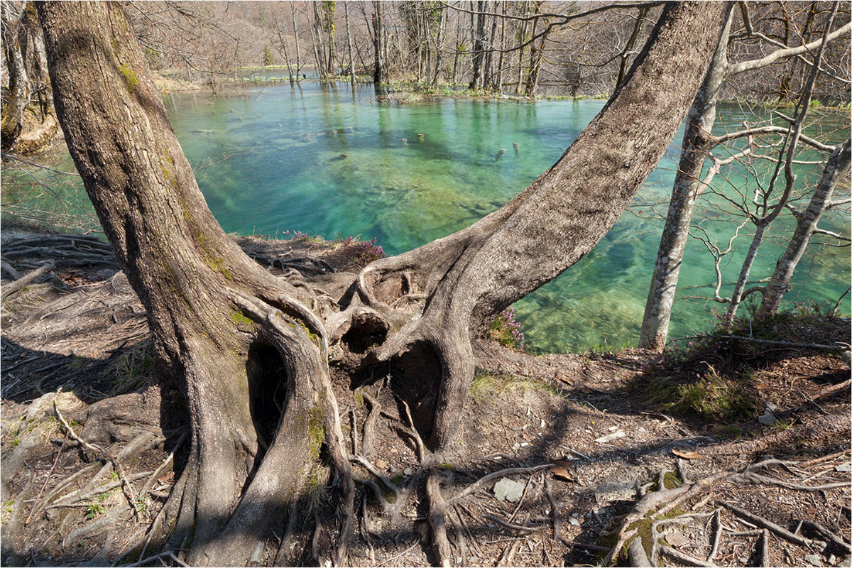 Plitvicer-SeenII.jpg