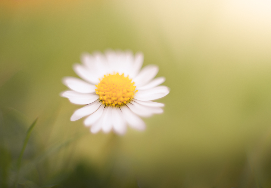 RD7_3657-2.jpg