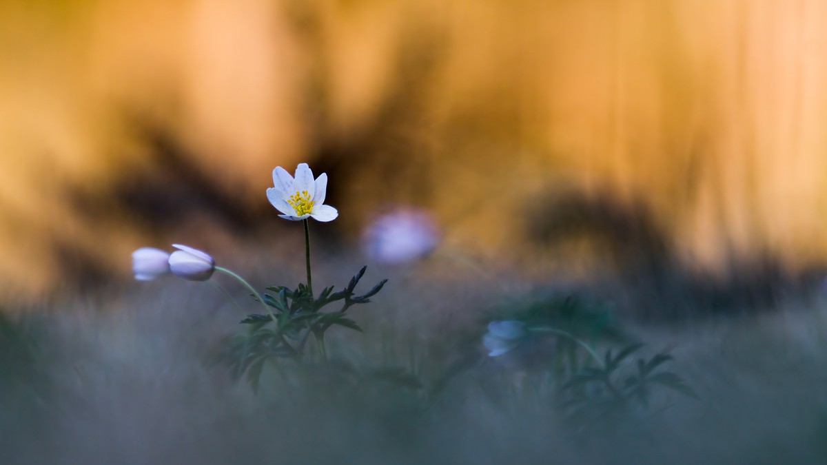 20130418_0941_BWR.jpg