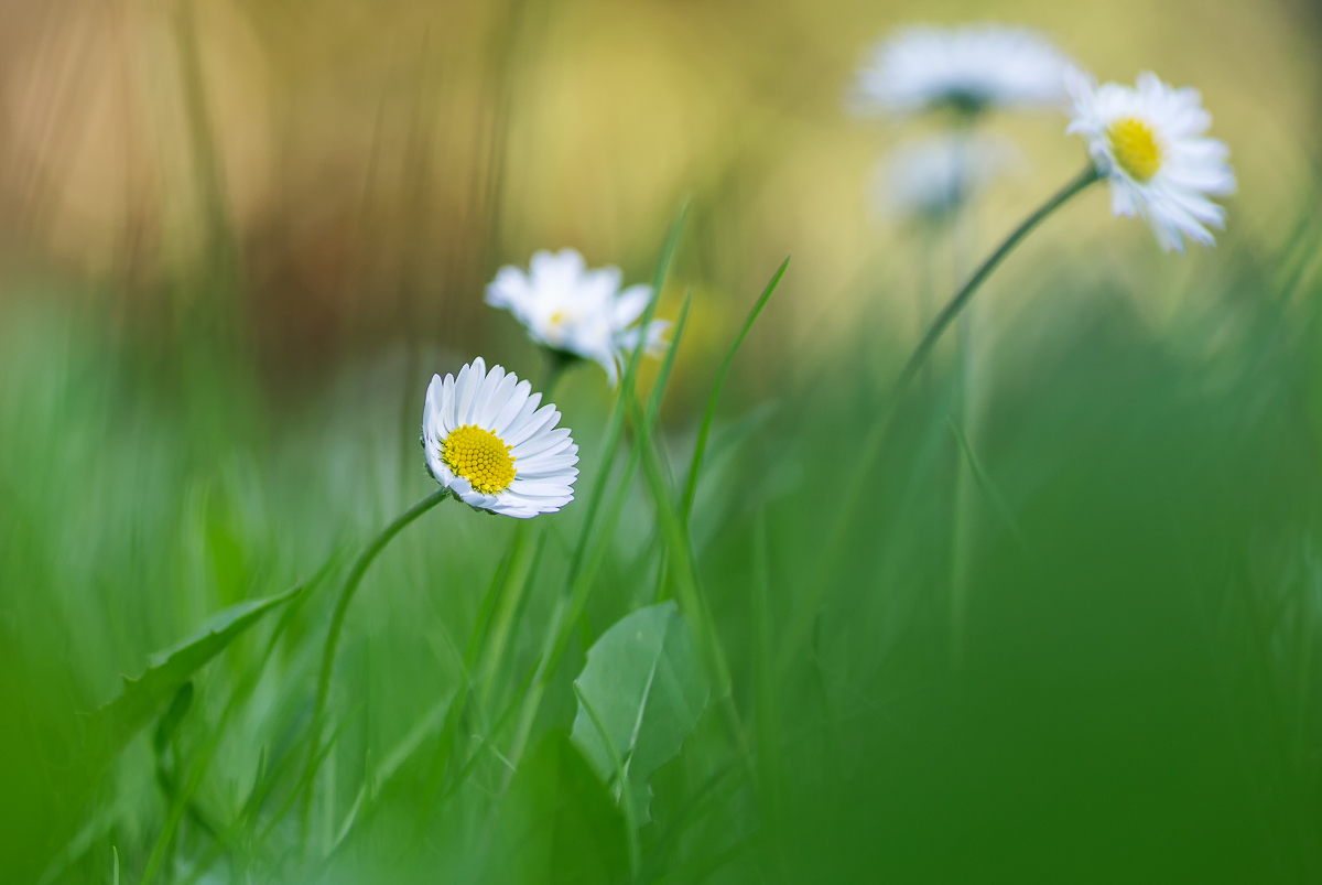 20130505-_A7A9948.JPG