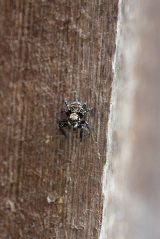 IMG_3522-29.jpg