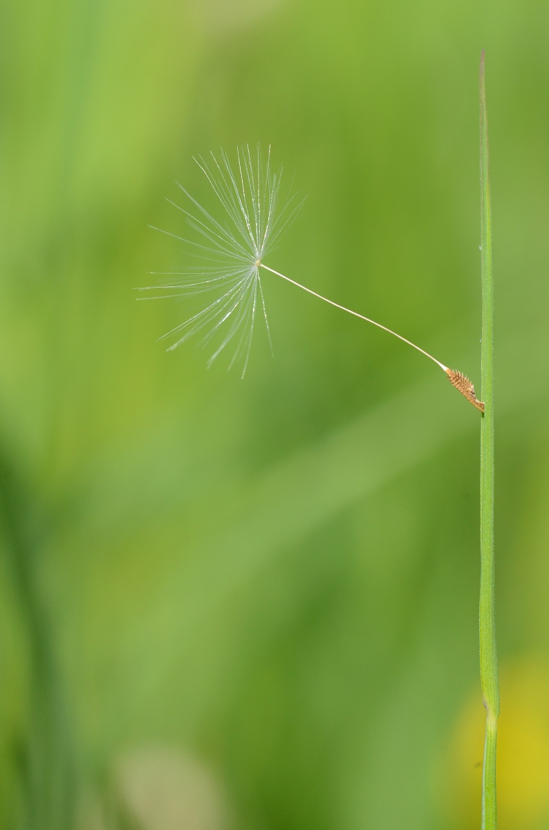 DSC_6095.JPG