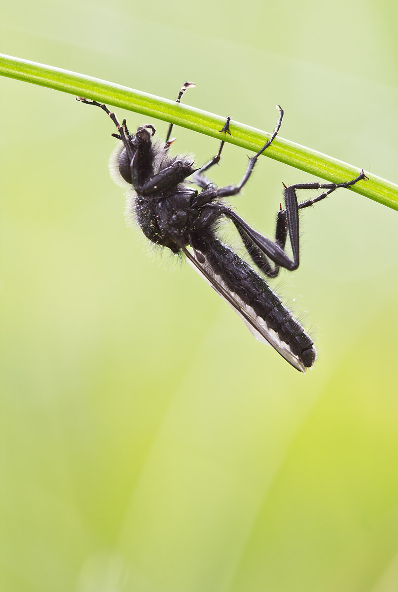 IMG_1956-3web.jpg