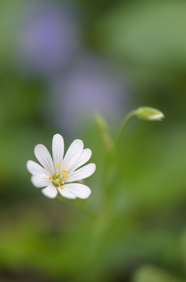 DSC_1265-1_filtered-1.jpg
