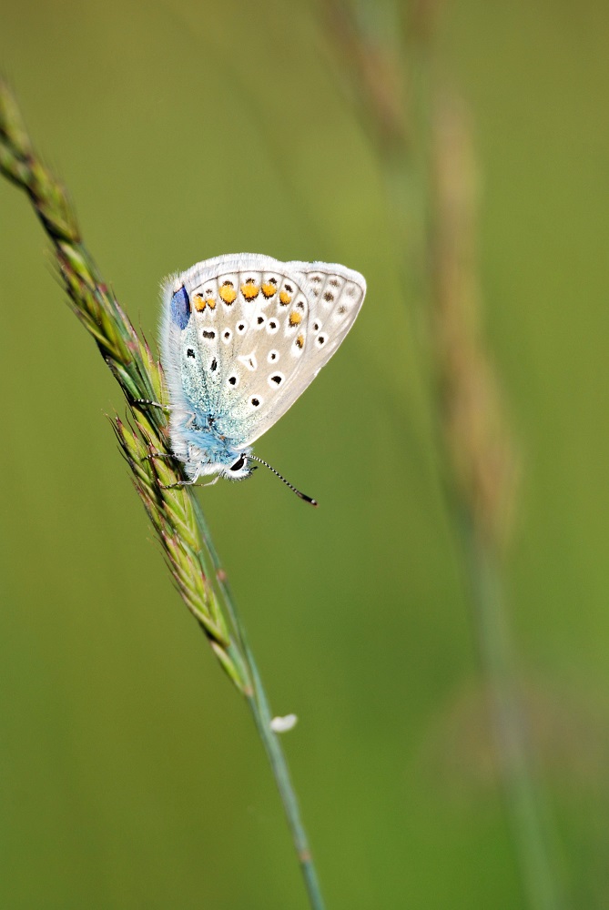 DSC_8839 - Kopie.JPG
