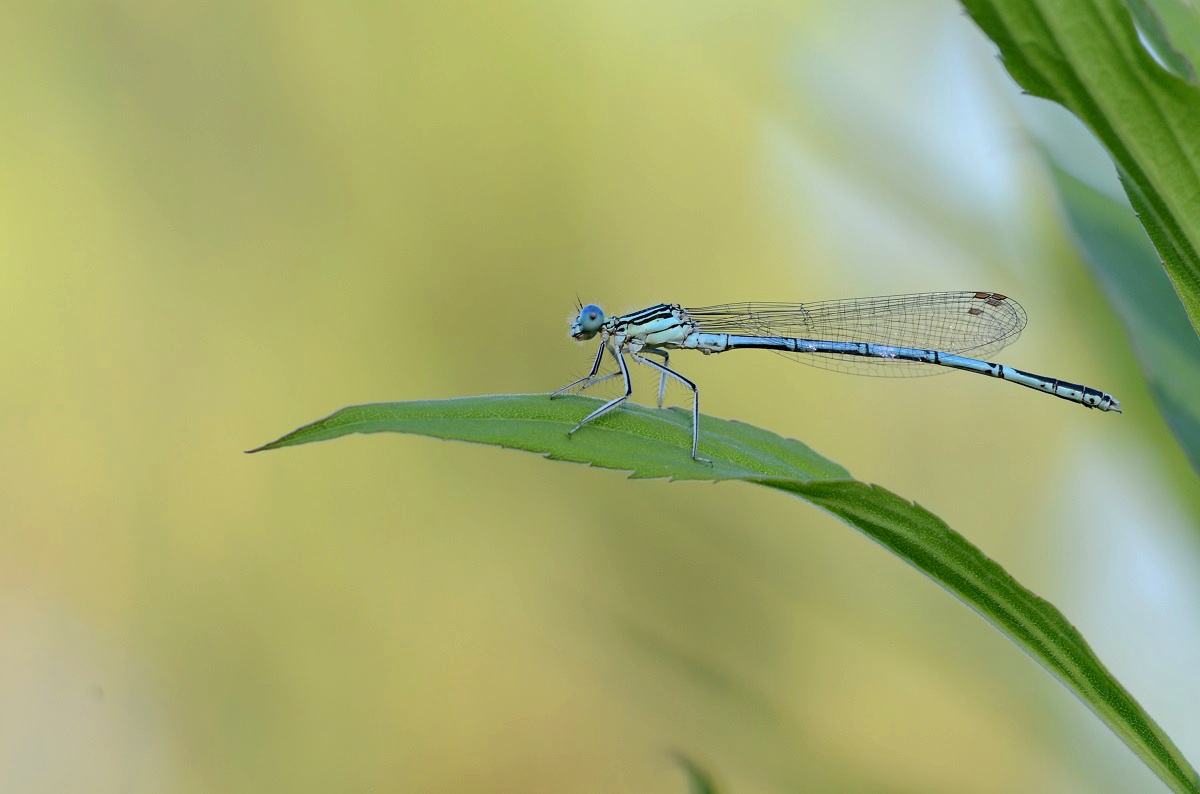DSC_8545.JPG