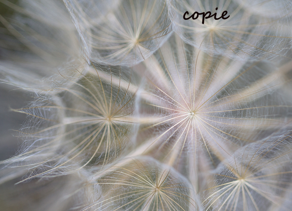 bea_f_0730_106 Kopie.jpg