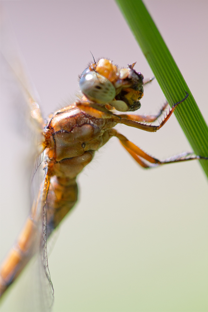 D7__5879.jpg